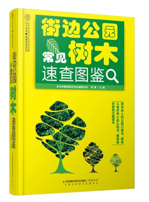 街邊公園常見樹木速查圖鑒（漢竹）