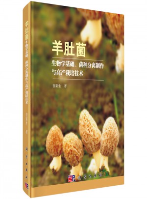 羊肚菌生物學基礎、菌種分離制作與高產栽培技術