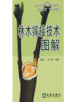 林木嫁接技術圖解