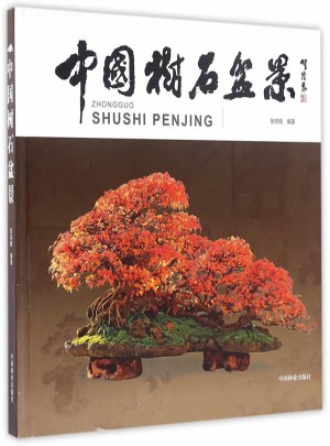 中國樹石盆景(精)