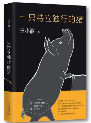 一只特立獨行的豬