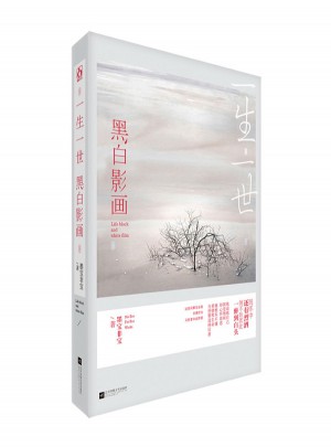 一生一世，黑白影畫