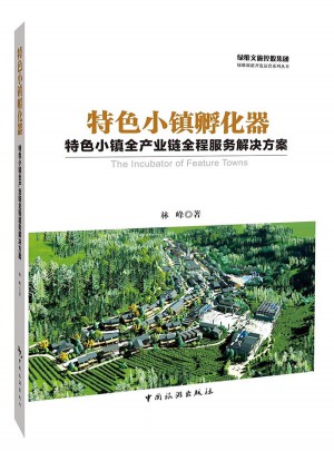 特色小鎮孵化器：特色小鎮全產業鏈全程服務解決方案