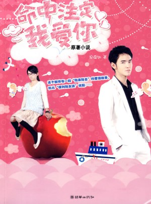 命中注定我愛(ài)你（原著小說(shuō)）