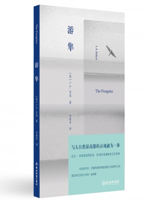 游隼