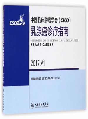 中國臨床腫瘤學(xué)會(huì)(CSCO)乳腺癌診療指南 2017.V1