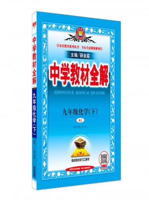 2018春 中學(xué)教材全解 九年級(jí)化學(xué)下 人教版