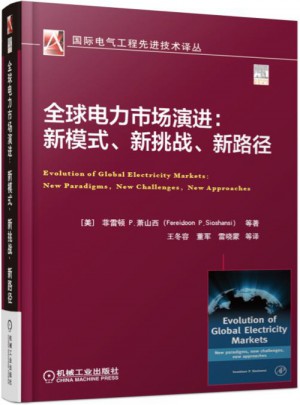 全球電力市場演進(jìn)：新模式、新挑戰(zhàn)、新路徑