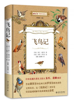 飛鳥記