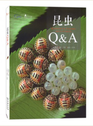 昆蟲Q&A