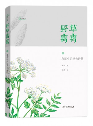 野草離離——角落中的綠色詩篇