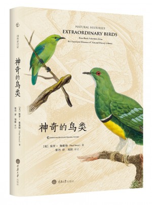 神奇的鳥類