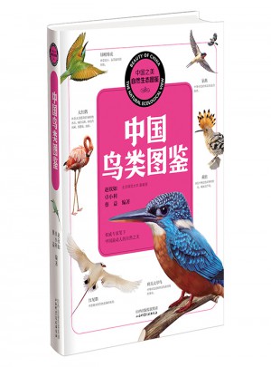 中國之美 自然生態(tài)圖鑒 中國鳥類圖鑒