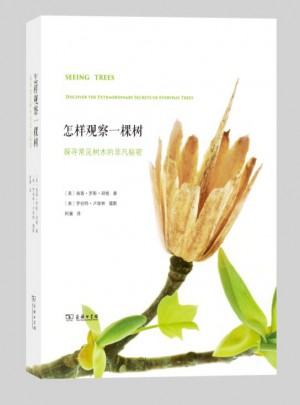 怎樣觀察一棵樹