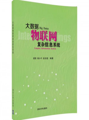大數據物聯網復雜信息系統