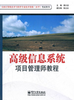 高級信息系統項目管理師教程