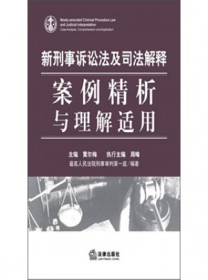 新刑事訴訟法及司法解釋-案例精析與理解適用