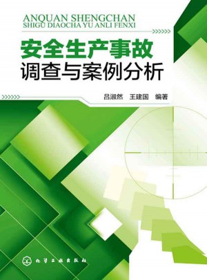 安全生產(chǎn)事故調(diào)查與案例分析(全行業(yè)各類型安全生產(chǎn)案例剖析)