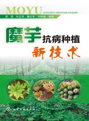 魔芋抗病種植新技術(shù)