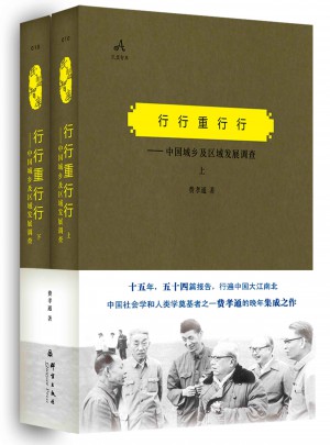 行行重行行——中國城鄉(xiāng)及區(qū)域發(fā)展調(diào)查（上、下）