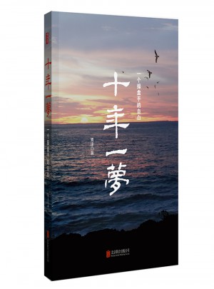 十年一夢·一個操盤手的自白（2017年新版）