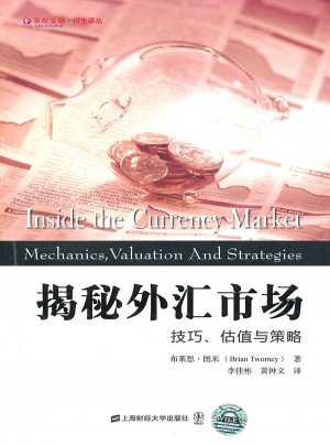揭秘外匯市場：技巧、估值與策略（引進版）