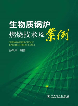生物質(zhì)鍋爐燃燒技術(shù)及案例
