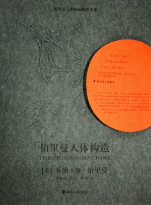 伯里曼人體構(gòu)造