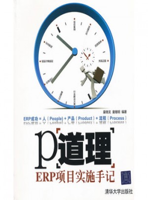 P道理·ERP項(xiàng)目實(shí)施手記