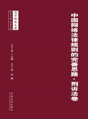 中國網絡法律規則的完善思路·刑訴法卷