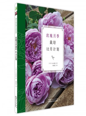 玫瑰月季栽培12月計(jì)劃