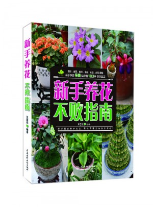 新手養(yǎng)花不敗指南