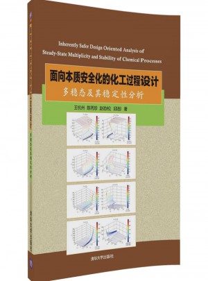 面向本質安全化的化工過程設計：多穩態及其穩定性分析