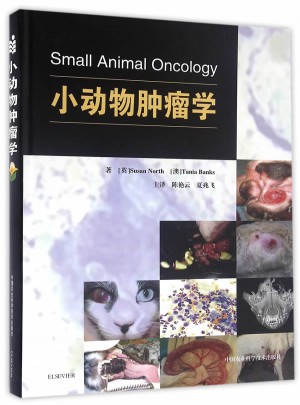小動物腫瘤學