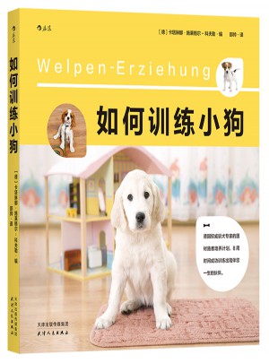 如何訓(xùn)練小狗