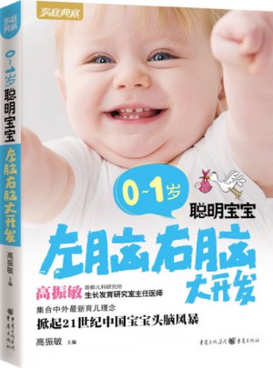 0～1歲聰明寶寶左腦右腦大開發(新版)