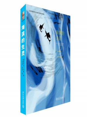 海濱的生靈