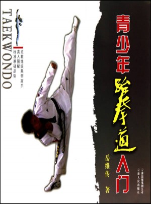 青少年跆拳道入門