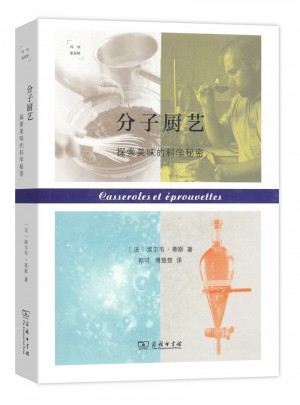 分子廚藝：探索美味的科學(xué)秘密(科學(xué)新視野)