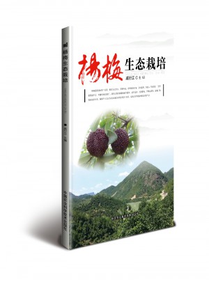 楊梅生態(tài)栽培