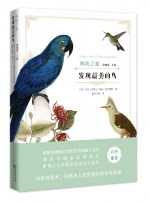 發現最美的鳥