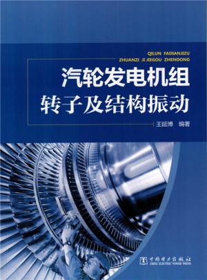 汽輪發(fā)電機(jī)組轉(zhuǎn)子及結(jié)構(gòu)振動