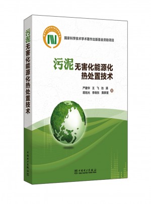 污泥無害化能源化熱處置技術(shù)