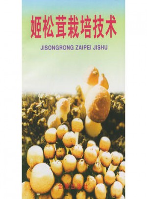 姬松茸栽培技術