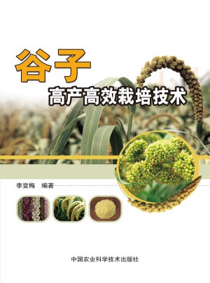 谷子高產高效栽培技術