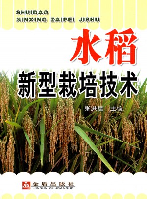 水稻新型栽培技術(shù)