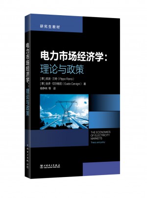 研究生教材 電力市場經濟學：理論與政策