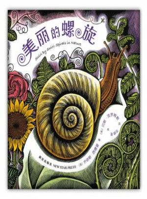 美麗的螺旋