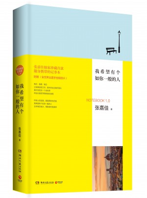 我希望有個如你一般的人