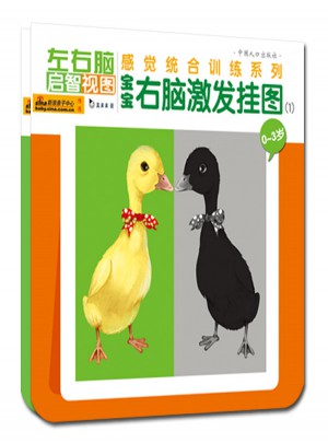 寶寶右腦激發(fā)掛圖（全兩冊）